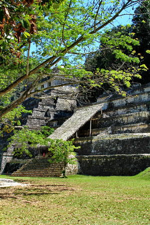 Palenque, Mexico 3
